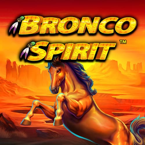 Bronco Spirit