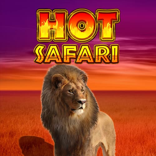 Hot Safari