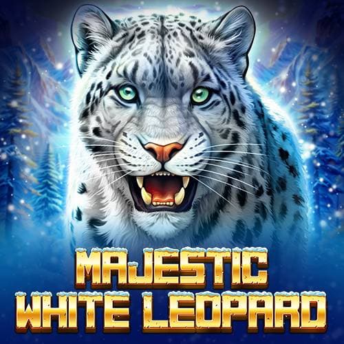 Majestic White Leopard
